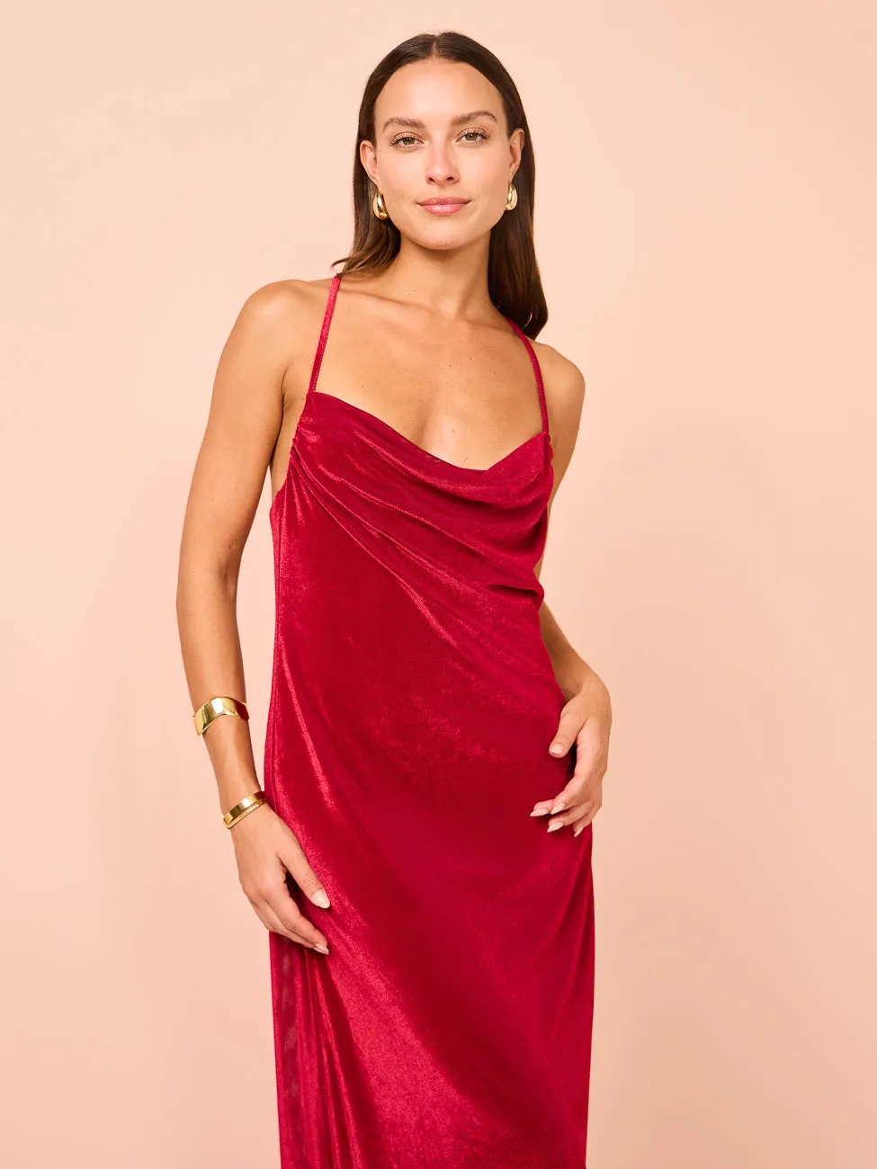 Camilla and Marc Lilo Dress in Rasberry