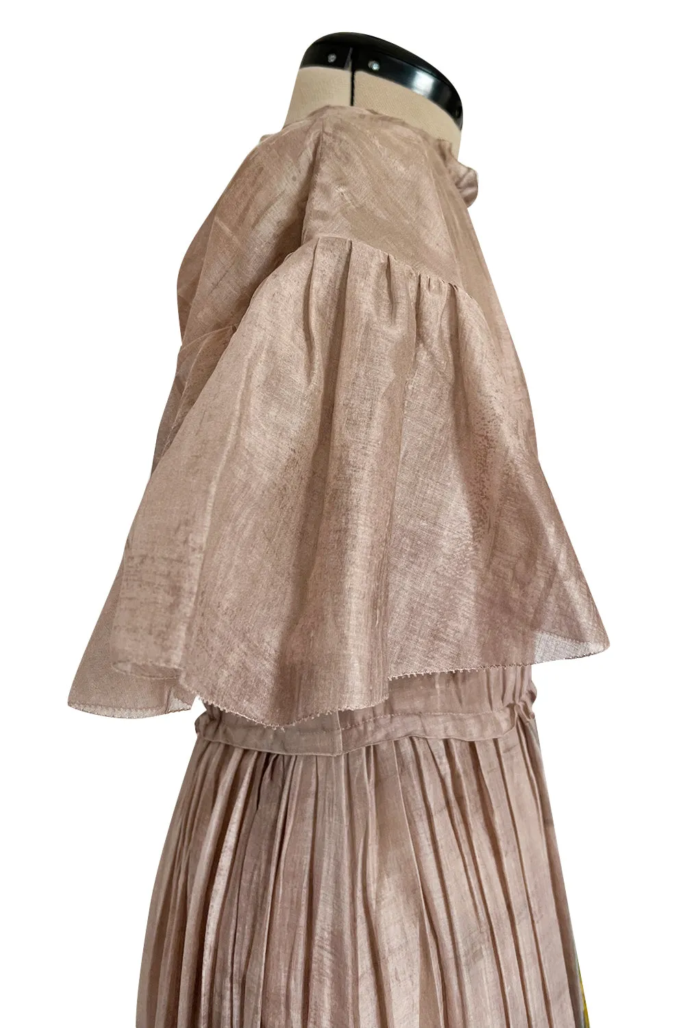 Romantic Fall 2019 Valentino Pleated Cotton Dress w Huge Painted Floral Detailing